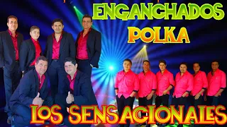 ENGANCHADOS POLKA -LOS SENSACIONALES ♫PABLO LISANDRO DJ ♫
