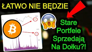 Czy BITCOIN Stracił Momentum? Co z Altcoinami? Analiza Danych OnChain Kryptowaluty 2022