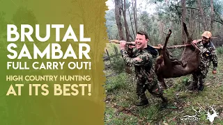 Brutal full Sambar carry out! - The Hunt, Harvest and Heart - Victorian High Country Sambar hunting.