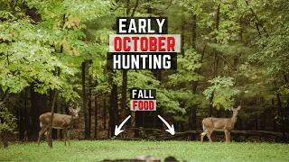 Early October Whitetail Hunting Strategy