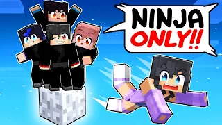 ONE GIRL Aphmau on a NINJA ONLY One Block in Minecraft! - Parody Story(Ein,Aaron and KC GIRL)