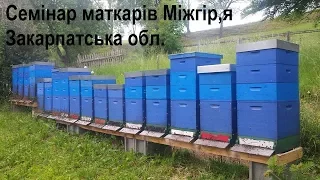 Семінар пасічників-маткарів м.Міжгір,я Закарпатська обл.