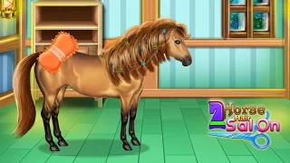 Horse Hair Salon