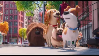 The Secret Life Of Pets   Trailer 2016 4K