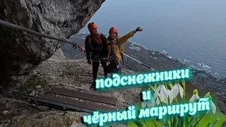 подснежники и черный маршрут