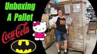 Unboxing a giant Pallet of Coca-Cola Batman and more! I also take a nap and become a dinosaur!