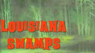 Louisiana Swamps - Bayou Urban Legend