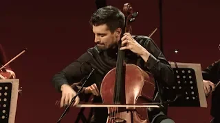 Vivaldi Summer (3rd movement) Storm - LUKA SULIC