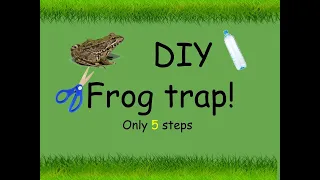 DIY frog trap I  5 easy steps