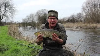 Feeder fishing for coarse fish on the river Test