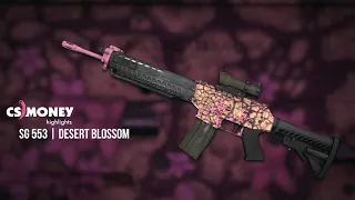 CS:GO | SG 553 - Desert Blossom