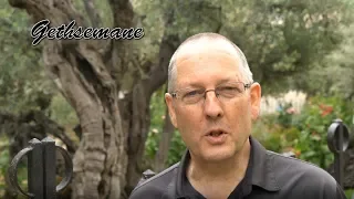 Israel Reflections 4: Gethsemane