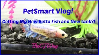 Petsmart Vlog: Getting My New Betta Fish and New Tank?!!