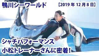 シャチパフォーマンス　小松トレーナーさんに密着！【鴨川シーワールド　2019年12月8日第1ステージ】