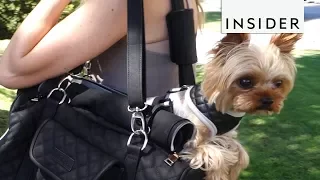 Stylish Pet Carrier For Small Dogs