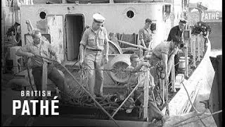 Suez Emergency (1956)