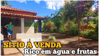 Nunca Vi um Sítio com Tantos Pés de Frutas e Flores e está a Venda em Nova Resende Minas Gerais