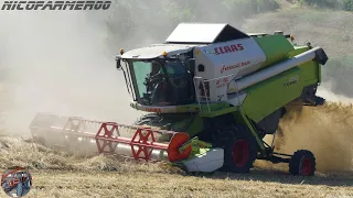 CLAAS TUCANO 430 MONTANA 4 + JOHN DEERE 7810 | FERRACUTI TEAM | WHEAT THRESHING 🌾