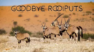 Filming wildlife in 8K HFR and saying goodbye to our campsite (Rooiputs Ep10)