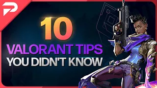 10 Tips You Didn't Know