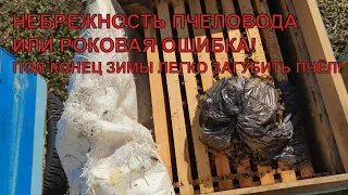 Как пчеловод теряет своих пчёл давая дотацию роковая ошибка пчеловода ✅☝️