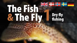 The Fish & The Fly 1 - Dry fly fishing