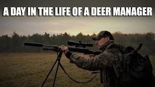 A day in the life of a deer manager