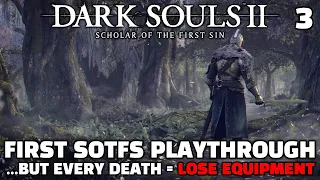 The Shrine of Amana Incident - Dark Souls 2 SOTFS First Playthrough [3]