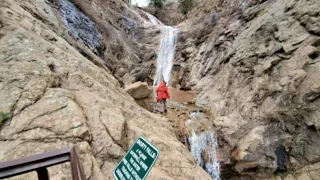 Bear Euthanized After Falling From Colorado Springs Waterfall