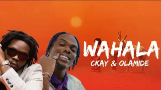 Ckay - Wahala feat. Olamide (lyrics video)