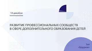 Развитие профессиональных сообществ в сфере дополнительного образования детей