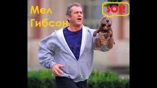 Звезды боевиков: Мел Гибсон. Mel Gibson.