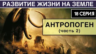 ЧЕТВЕРТИЧНЫЙ ПЕРИОД (часть 2) . Развитие жизни на Земле. 18 серия | Плейстоцен. Антропогенез