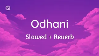 Odhani odh ke nachu [Slowed+Reverb] - Tere Naam