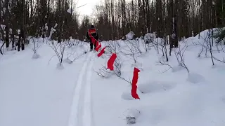 Охота на волков флажками. Кто кого🐺🐾❄