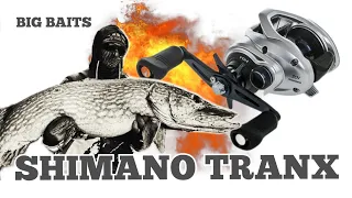 SHIMANO TRANX 301A. МУЛЬТ ЯКИЙ МЕНЕ ЗДИВУВАВ !  ШНУР BERKLEY TRACER BRAID.BIG BAITS.