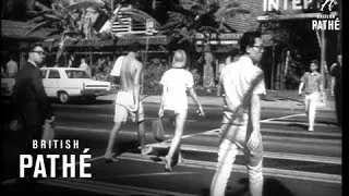 A Trip To Honolulu
        
         (1966)