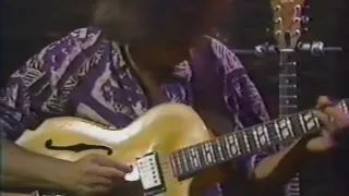 pat metheny trio - montreal 88 - 02 - how insensitive