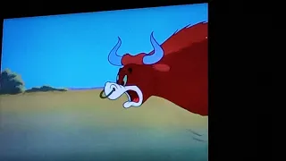 Tom and Jerry Tom bite a Bull tale 😂