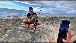 Caught my First Uhu Fishing! (Pananu / ParrotFish ) Hawaii Catch N Cook Vlog