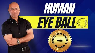 Anatomy of The Human Eye Ball | Structure & Function | Iris | Cornea & Sclera