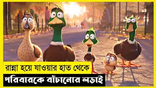 Migration Movie Explain In Bangla|Adventure|Comedy|The World Of Keya