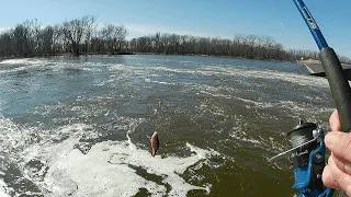 Spillway is STACKED with Perch (Part 2 of 2) I got a limit.