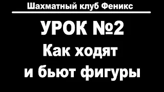 Урок 2. Как ходят и бьют шахматные фигуры.