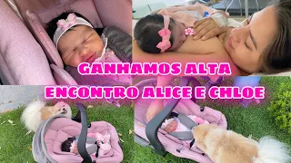GANHAMOS ALTA DA MATERNIDADE- ENCONTRO ALICE E CHLOE 🐾🦋#maternidade #gravida #bebê #enxoval #baby