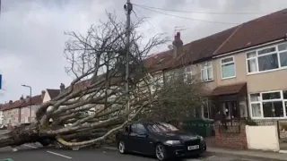 Storm Eunice London 18 02 2022