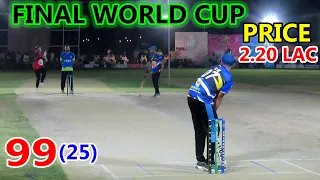 FINAL WORLD CUP || TAMOUR MIRZA VS CHOTA VICKY || 99 RUNS 25 BALLS ||