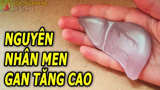 Men gan tăng cao do đâu?