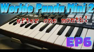 Worlde Panda Mini 2 - One Month Review | Fixed Chord, Arpeggiator, Ableton Live Integration (EP6)