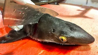 희귀한 상어 사시미, 고수의 해체작업 Shark Sashimi / Korean street food